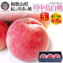 桃 和歌山県産 川中島白桃 かわなかじまはくとう 大玉 3玉 中箱 有機栽培 ふるーつふぁーむわかやま もも モモ ピーチ 甘い 贈答用 3個 国産 日本産 和歌山産 紀の川市 特産品 くだもの 果物 旬の果物 ギフト 贈り物 熨斗対応 クール便 送料無料 産地直送