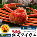 お歳暮 冬ギフト かに 特A級品 鳥取県産 紅ズワイガニ 姿 約600g 1杯〜3杯【茹で】ボイル カニ 蟹味噌 酒の肴 日本海 山陰 産直 国産 境港 茹で蟹...