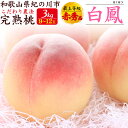 【7月上旬発送】 お中元 夏ギフト 御中元 ギフト 桃 最上等級 赤秀品 白鳳 3kg (9〜12玉入り) 和歌山県産 もも はくほう 完熟 甘い 国産 日本産...