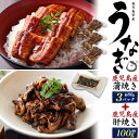 鹿児島県産 うなぎの蒲焼き 240g (80g×3) & 肝焼き 100g 蒲焼き 国産 国内産 unagi 鰻 ウナギ 珍味 電子レンジ可 レンチン 湯煎 簡...