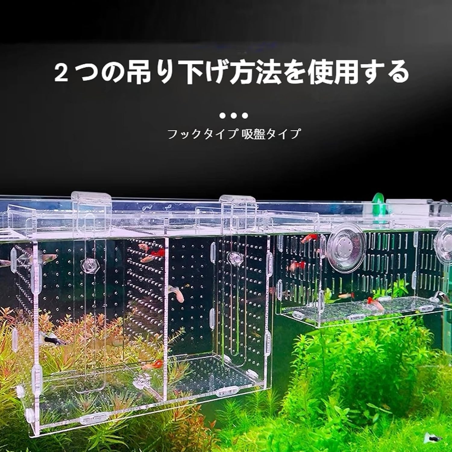 繁殖隔離ボックス 隔離箱 水槽用 孵化 産卵箱 魚の隔離 透明 アクリル 吸盤 省スペース 取り付け簡単 保護 透明 高透過率 安定 飼育保護 水族館アクセサリー