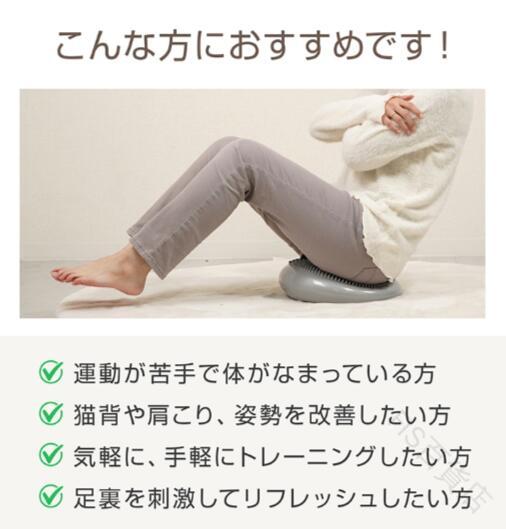 TABERICの【送料無料】姿勢革命 体幹 自宅トレーニング 歪み インナーマッスル 女性向け 健康器具 家族で使える 空気量調整可能 腰痛対策｜アングル2