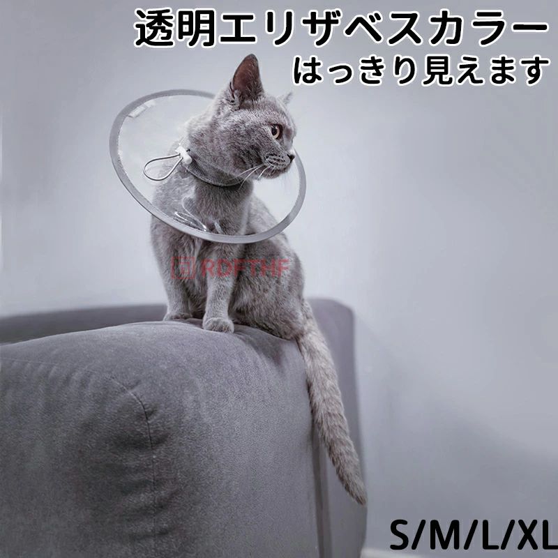 ������̵���ۥ��ꥶ�٥����顼 ǭ ���ꥢ ���ե� ���餫�� ���� �ð���� ��ԡ�����¿�� �ե��������顼 ��Ʃ�������եȡ� ��ǭ ��ǭ ��...