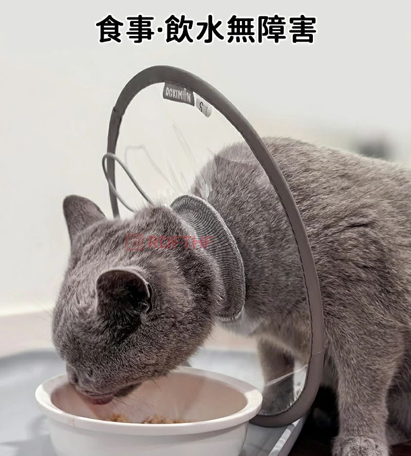 ������̵���ۥ��ꥶ�٥����顼 ǭ ���ꥢ ���ե� ���餫�� ���� �ð���� ��ԡ�����¿�� �ե��������顼 ��Ʃ�������եȡ� ��ǭ ��ǭ ���� ���� �� ��Ѹ� �����ݸ� ­�Ӥ��ɻ� ���Ӥ��ɻ� ǭ�� ���� �ڥå��� ���襤�� ��� ��ñ����