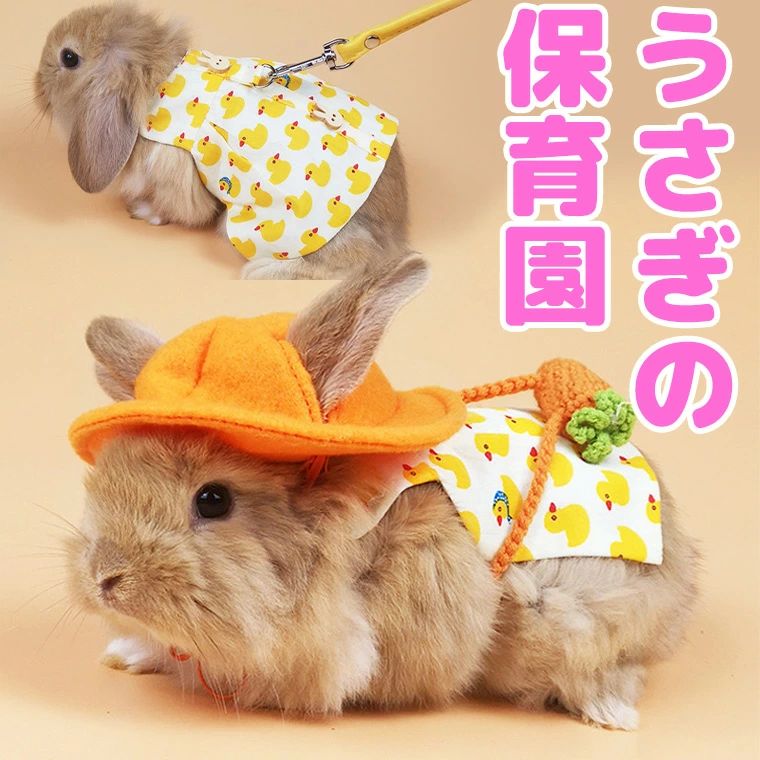 【送料無料】うさぎの保育園 ポシェット 帽子付 スモック リボン ハーネス ベスト ワンピース あひる柄 鳥柄 うさぎ服 お散歩リード うさぎ用 ウサギ用 リード ハーネス うさぎハーネス ペットウェア うさぎウェア グリーン ピンク 小動物用 お散歩