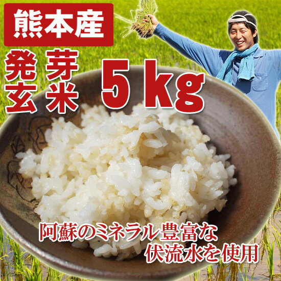 熊本産 農薬未使用 発芽玄米5キロ