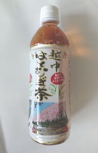 越中はとむぎ茶 お茶　ペットボトル500ml 1本