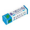 ミント味の歯につきにくいガム 入れ歯などの義歯がある方にも爽やかな気分を提供