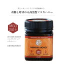 ＼スーパーセール期間中、20%OFF！／マヌカハニー　MGO250+　250g　UMF10+