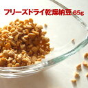 川口納豆　乾燥納豆 （ひきわり65g）【フリーズドライ】