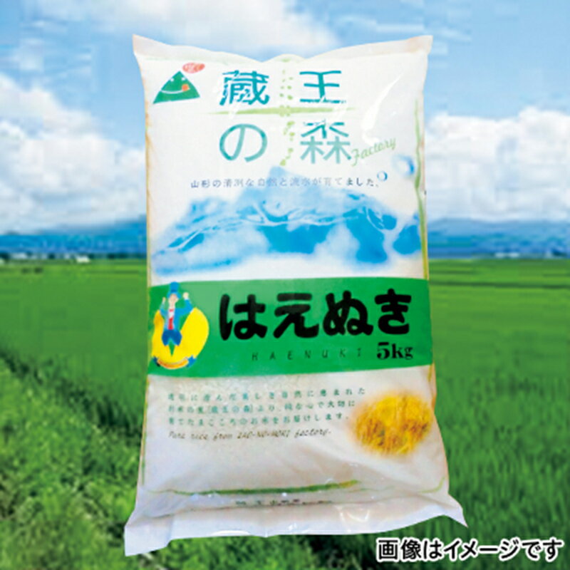 山形 山形・はえぬき 5kg (HIS ギフト プレゼント お土産 土産 お取り寄せ お取り寄せグルメ お取り寄せギフト お中元 お歳暮 夏ギフト 冬ギフト 母の日 父の日 おうちごはん) ※直送品※