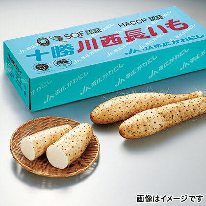 Hisのお取り寄せギフト 北海道 十勝川西長いも 2 5kg 直送品 お取り寄せグルメ お取り寄せギフト ギフト プレゼント お土産 受注生産品 贈答品 母の日 誕生日 土産 おみやげ 父の日 夏ギフト お中元