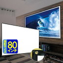 プロジェクター スクリーン 80インチ 吊り下げ 手巻き式 手巻式プロジェクタースクリーン RA-PSTM80 【沖縄・離島販売不可】 〇プレゼント