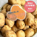 群馬県前橋産 堀越ファームの男爵じゃがいも5kg