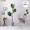 最大10,000円OFFクーポンフェイクグリーン fake green フィカス・リラータLサイズ(180cm) 人工観葉植物お手入れ簡単 水やり不要 造花 イミテーショングリーン インテリアプランツ インテリアグリーン 室内 オフィス 新築祝い 開店祝い 誕生日祝い