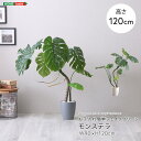 最大10,000円OFFクーポンフェイクグリーン fake green モンステラSサイズ(120cm) 人工観葉植物お手入れ簡単 水やり不要 造花 イミテーショングリーン インテリアプランツ インテリアグリーン 室内 オフィス 新築祝い 開店祝い 誕生日祝い 開業祝い