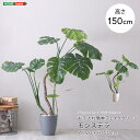 最大10,000円OFFクーポンフェイクグリーン fake green モンステラMサイズ(150cm) 人工観葉植物お手入れ簡単 水やり不要 造花 イミテーショングリーン インテリアプランツ インテリアグリーン 室内 オフィス 新築祝い 開店祝い 誕生日祝い 開業祝い