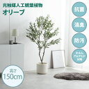 最大10,000円OFFクーポン光触媒人工観葉植物 fake green オリーブ(約)幅55cm×奥行45cm×高さ150cm照明光が当たることで消臭・抗菌・防汚・ホルムアルデヒド分解の効果を発揮フェイクグリーン 造花 水やり不要 空気清浄 イミテーショングリーン