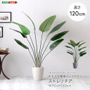 最大10,000円OFFクーポンフェイクグリーン fake green ストレリチアSサイズ(120cm) 人工観葉植物お手入れ簡単 水やり不要 造花 イミテーショングリーン インテリアプランツ インテリアグリーン 室内 オフィス 新築祝い 開店祝い 誕生日祝い 開業祝い
