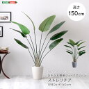 最大10,000円OFFクーポンフェイクグリーン fake green ストレリチアMサイズ(150cm) 人工観葉植物お手入れ簡単 水やり不要 造花 イミテーショングリーン インテリアプランツ インテリアグリーン 室内 オフィス 新築祝い 開店祝い 誕生日祝い 開業祝い