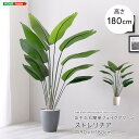 最大10,000円OFFクーポンフェイクグリーン fake green ストレリチアLサイズ(180cm) 人工観葉植物お手入れ簡単 水やり不要 造花 イミテーショングリーン インテリアプランツ インテリアグリーン 室内 オフィス 新築祝い 開店祝い 誕生日祝い 開業祝い