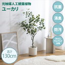 最大10,000円OFFクーポン光触媒人工観葉植物 fake green ユーカリ(約)幅80cm×奥行50cm×高さ130cm照明光が当たることで消臭・抗菌・防汚・ホルムアルデヒド分解の効果を発揮フェイクグリーン 造花 水やり不要 空気清浄 イミテーショングリーン