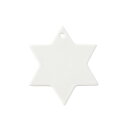 白磁 オーナメント 6角 星 日本製 磁器 陶絵付け ポーセリンアート クリスマスオーナメント 星型 六角 魔法陣 陶板 ミニ 白磁 ショップ 販売 通販 テーブルウェアファクトリー