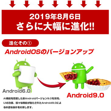 【タブレット 10.1インチ】ALLDOCUBE iplay10pro 32GB 3GRAM MTK8163 Android9.0 BT搭載 FHD【高性能 10インチ 10型 IPS 高解像度 日本語説明書 送料無料 タブレットPC WiFiモデル オススメ 大きい パソコン】