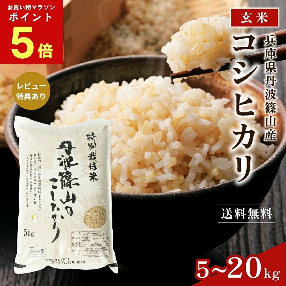 楽天市場】新米 玄米の通販