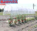 南栄工業 雨よけハウス AM1253 1畝用 国内生産品 ナンエイ 雨除けシート 雨よけ 雨除け 透明シート ビニールハウス 家庭用 小型 ビニール トマト 園...