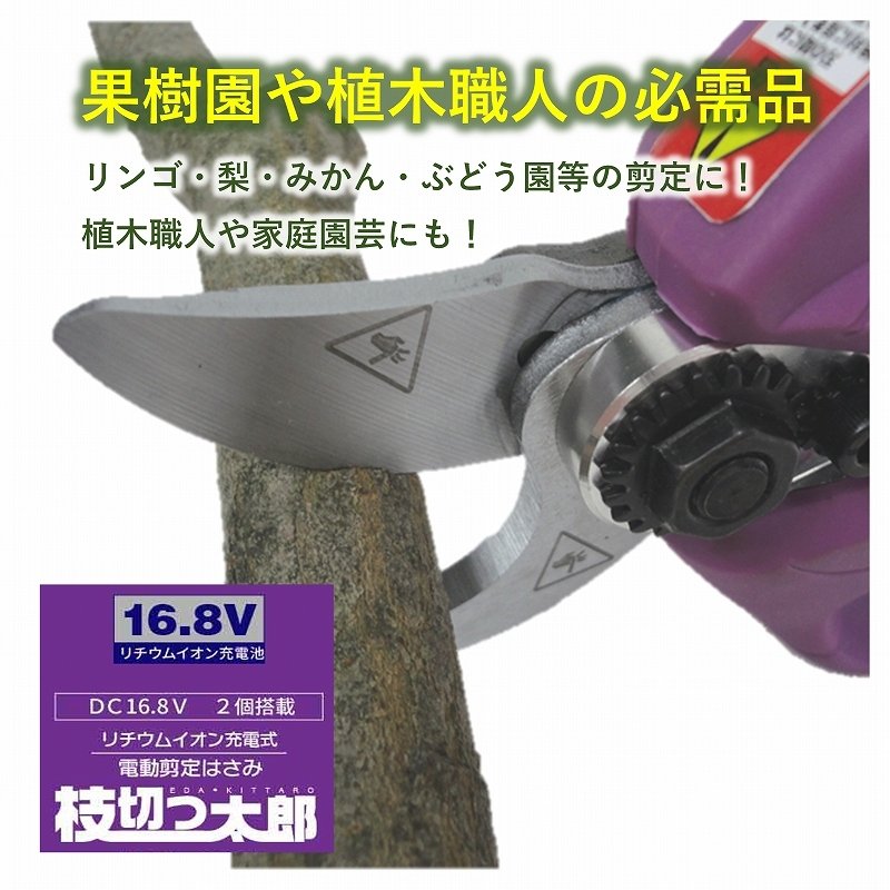 枝切りバサミ 電動 ASH-25M 最大切断径25mm コードレス 充電式 力要らず らくらくカット 果樹園 お手入れ 植木 剪定 トリマー 家庭園芸 ガーデニング 1年保証　直送
