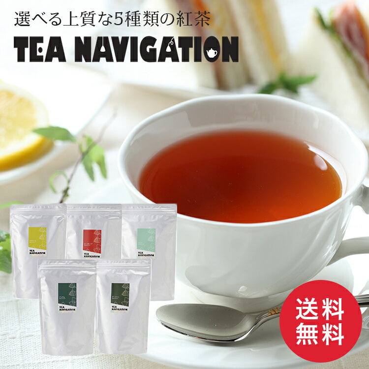 TEA NAVIGATION プレミアムライン 紅茶 ギフト ティーバッグ スタンドパック 100包入 高級 フレーバーティー フルーツティー ハーブティー プレゼント 退職祝い 出産祝い バレンタイン ホワイトデー 母の日 プチギフト