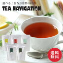 TEA NAVIGATION プレミアムライン 紅茶 ギフト ティーバッグ スタンドパック 100包入 高級 フレーバーティー フルーツティー ハーブティー プレゼント 退職祝い 出産祝い バレンタイン ホワイトデー 母の日 プチギフト