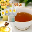 【クーポン配布中】TEA NAVIGATION 紅茶 ギフト ティーバッグ はちみつ紅茶 スタンドパック(7包、25包、50包、100包入)、ギフトセット(7包...
