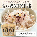 タチバナセレクション 贅沢穀類 もち麦MIX63 2個入セット【 健康 取り寄せ おもてなし おしゃれ 持ち寄り 内祝い お返し ご挨拶 ギフト プレゼント 高級 手土産 もち麦 キヌア 五穀ミックス 退職祝い 出産祝い　バレンタイン　ホワイトデー プチギフト 】