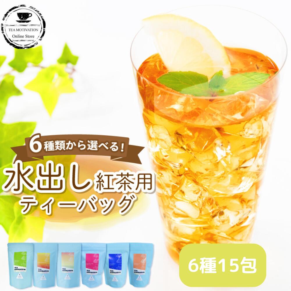 紅茶（2000円程度） 【明日届く！】TEA NAVIGATION 紅茶 ギフト ティーバッグ 水出し アイスティー スタンドパック 15包入【 お返し おしゃれ かわいい プレゼント 誕生日 手土産 オフィス 贈答 職場 フルーツティー 退職祝い 出産祝い バレンタイン ホワイトデー 母の日 プチギフト】RSL