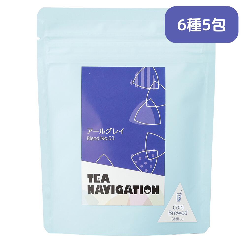 TEA NAVIGATION 紅茶 ギフト ティーバッグ 水出し アイスティー スタンドパック 5包入