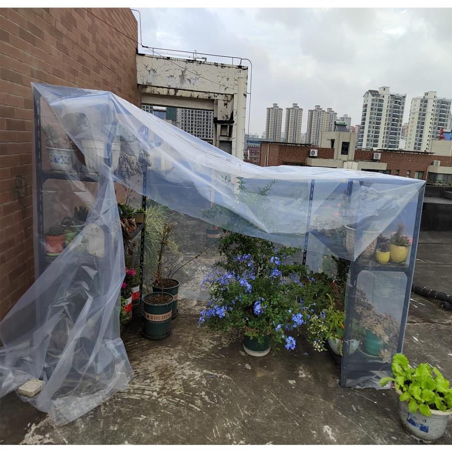 Ʃ���ץ饹���å��ե���� �����ѥӥˡ���ϥ����ؤ������� ŷ�� PE���С� ��ʪ���� �����ե���ࡢ�ɴ��ѡ������� �ӥˡ���ϥ������ӥˡ��륷���� Ʃ����Ʃ��