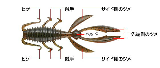 エバーグリーン　アントライオン　2.7インチ　リバーシュリンプ　37　【ネコポス配送可】 2