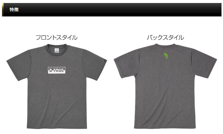 アルプスマウンテニアリング(ALPS MOUNTAINEERING) ZEPHYR 2 テント グレー/ネイビー2人用