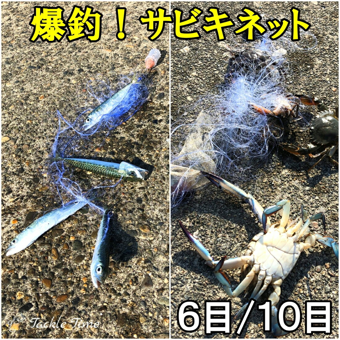 【送料無料】 TackleTime サビキネット サビキ 仕掛け カニ網 カニ釣り 投げ 投網 刺網 魚網 スペア 付替 魚 カニ 罠 トラップ 捕獲網 魚捕り 魚取り 釣れる 捕れる カニ捕り ワタリガニ ガザ…