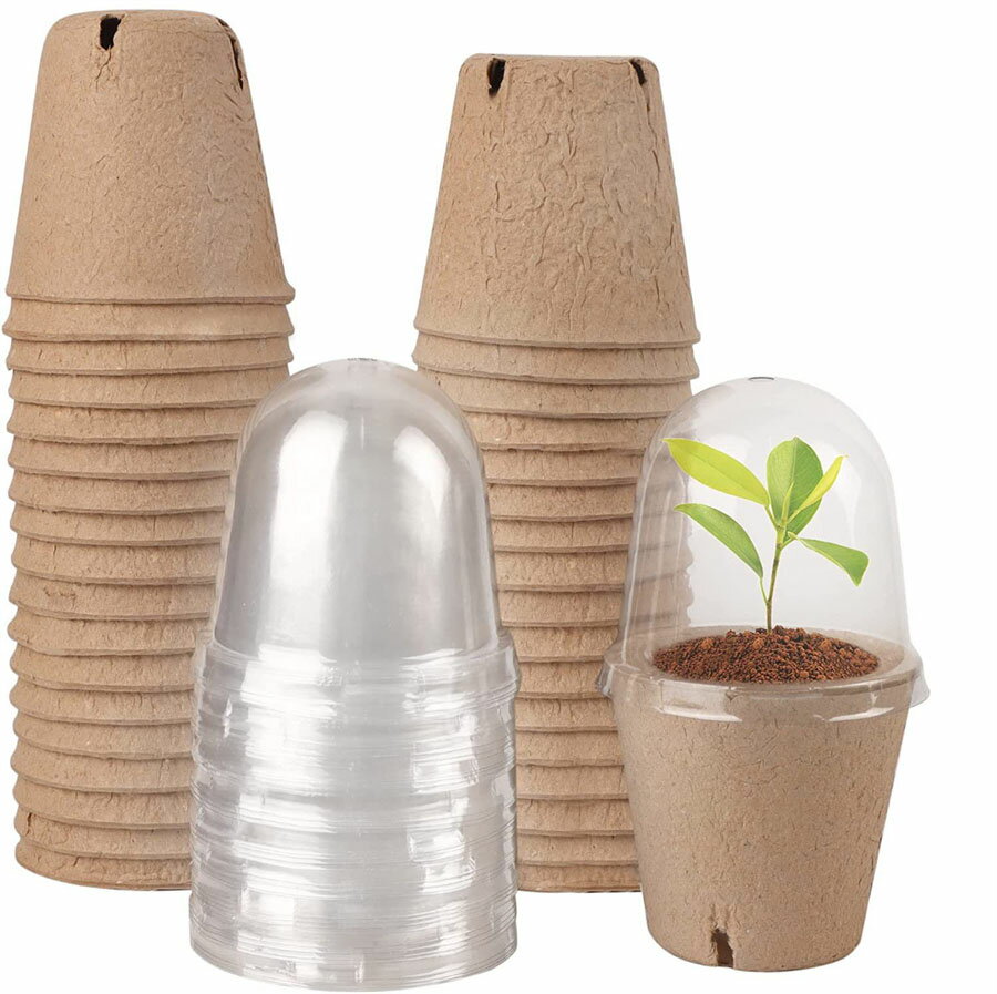 ĥݥå  濢ȭ Ȣ ťúݥå ʬ ̵߷ ޤ ʪ ں   ǥ˥ ڱ  