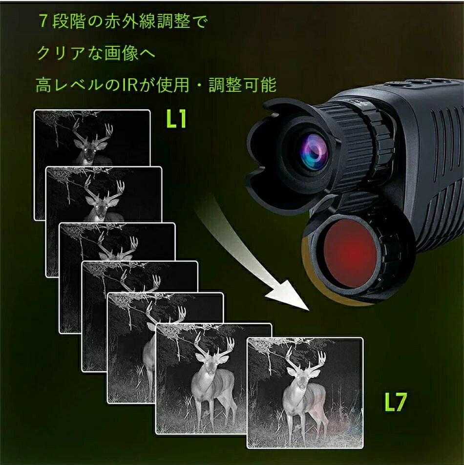 �ʥ��ȥӥ���� �Ż륹������ �Ż�� �ʥ��ȥ������� �������� ������������ Ͽ�赡ǽ�դ� �ӥǥ������ Ͽ�� �ǥ������ֳ����ʥ��ȥӥǥ� �Ż륹������ �Ż�� ˾�� ���� �ƻ� ��ֻ��� �Ż� ư�� ���� ����� �ֳ��� ����̵��