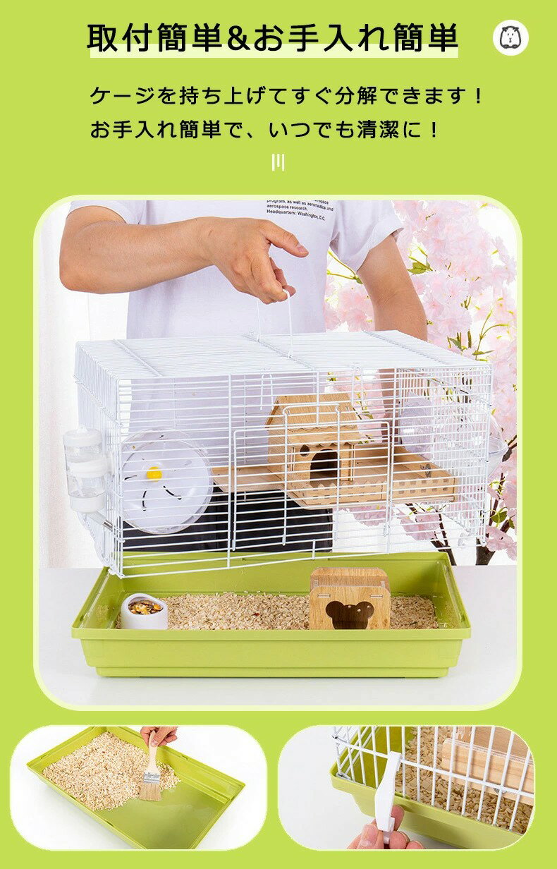 �ϥॹ���� ������ 8�����å� 2�����ƻ��饱���� �礭�� ��ưʪ ������ ������ǥ� �ϥ��� ���� ���ܥȥ� �ޤ路�� ���� �󤷼� ��ư���� �Х��롼�� �̵���ȴ�� æ�Фˤ��� ��Ω��ñ �������Ӥ䤹�� ������� ���ݽ���ñ �Ҷ� ���ե� ��̳��