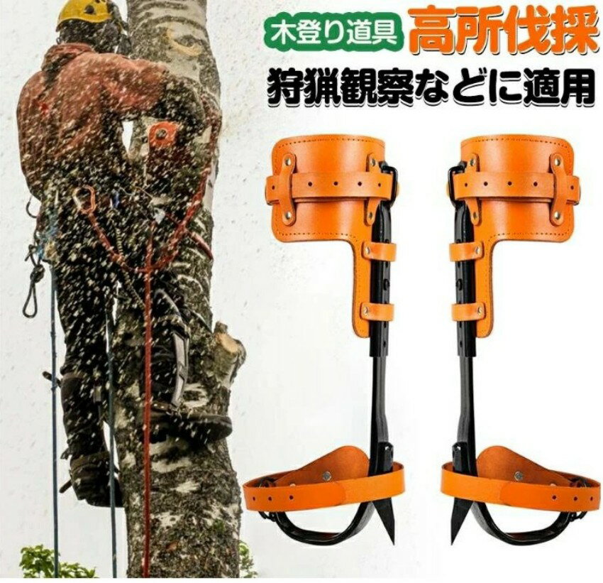 木登り道具 登山用の靴 庭木 木登り器 極登山スパイク 果物選ぶ 多目的 304ステンレス鋼 材質 耐用 科学デザイン 強い耐荷重力 ポータブル 使用簡単 狩猟観察 登山などに適用木登り器 木登り道具 木登り道具 木登り器 2