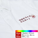 プリント加工-7 プリントカラー:フルカラー プリント位置:左胸・右胸・左胸二段・右胸二段・左袖・右袖・胸中央・背中上・背中中央(10cm×10cm) 【1枚1...