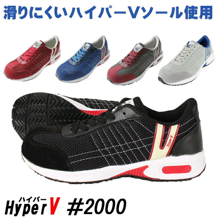 SC nCp[V #2000 SXj[J[ [Jbg R Y fB[X ƌC ɂ 22.5cm-29cm (122)