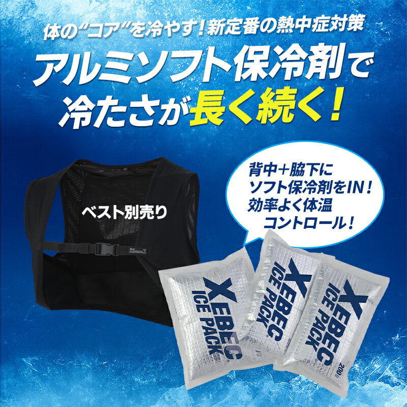 保冷剤 (アルミタイプ) 3個セット (200g 2個/300g 1個) 約4時間持続 アイスベスト...