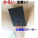 伝振動スピーカー&ボード 450×300×5mm 軽い100g 小型大音量×貼替簡単 壁や窓から音楽 体感音響も