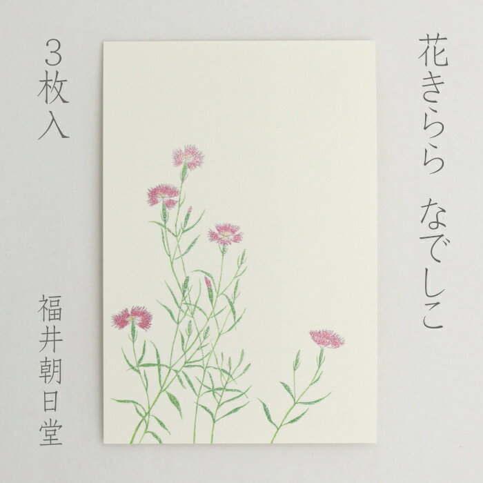 花きらら・・・絵柄全体にラメ加工を施した私製はがきシリーズ 季節の花や風物詩を大きく描いてあり、ご挨拶や御礼を簡潔に伝えたいときに使いやすい絵はがきです。 絵柄の上から筆ペンで書いてもはじくことがなく、すぐにはがきを出したい時にも便利にお使いいただけます。 絵柄を大きく描いてますので、はがきに凹凸がでる場合があります。 ラメが手につくことがあります。強く擦ったりしないようにお願いします。 同柄3枚1組 100mmx148mm Made in Japan モニターの発色具合によって実際の商品と色合いが異なる場合があります。 部分画像はラメがわかりやすいように色を調整しています。 在庫を実店舗と共有している為、ご注文後に欠品となる場合がございます。 その場合は別途ご連絡させて頂きますので、何卒ご了承下さいませ。